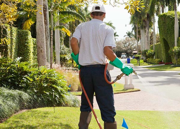 About Chapman Ranch TX Pest Control Pros